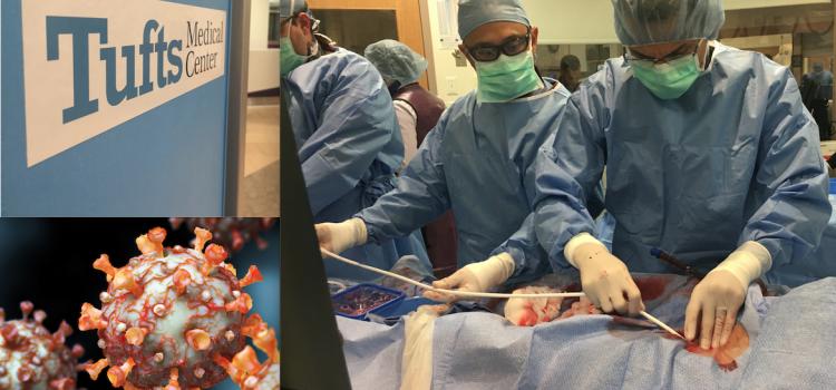 This year's top videos are dominated by COVID-19's impact on cardiology and many of the videos from a series produced this year on Tuft Medical Center's cardiology program. 